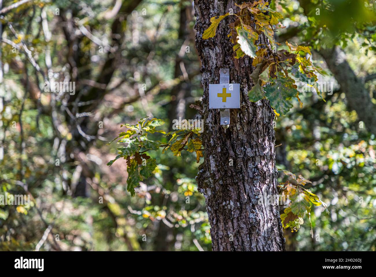 Hiking sign in the Vosges near Lautenbach, France Stock Photo