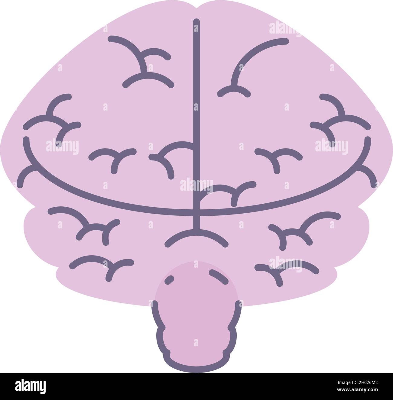 human brain organ Stock Vector Image &amp; Art - Alamy