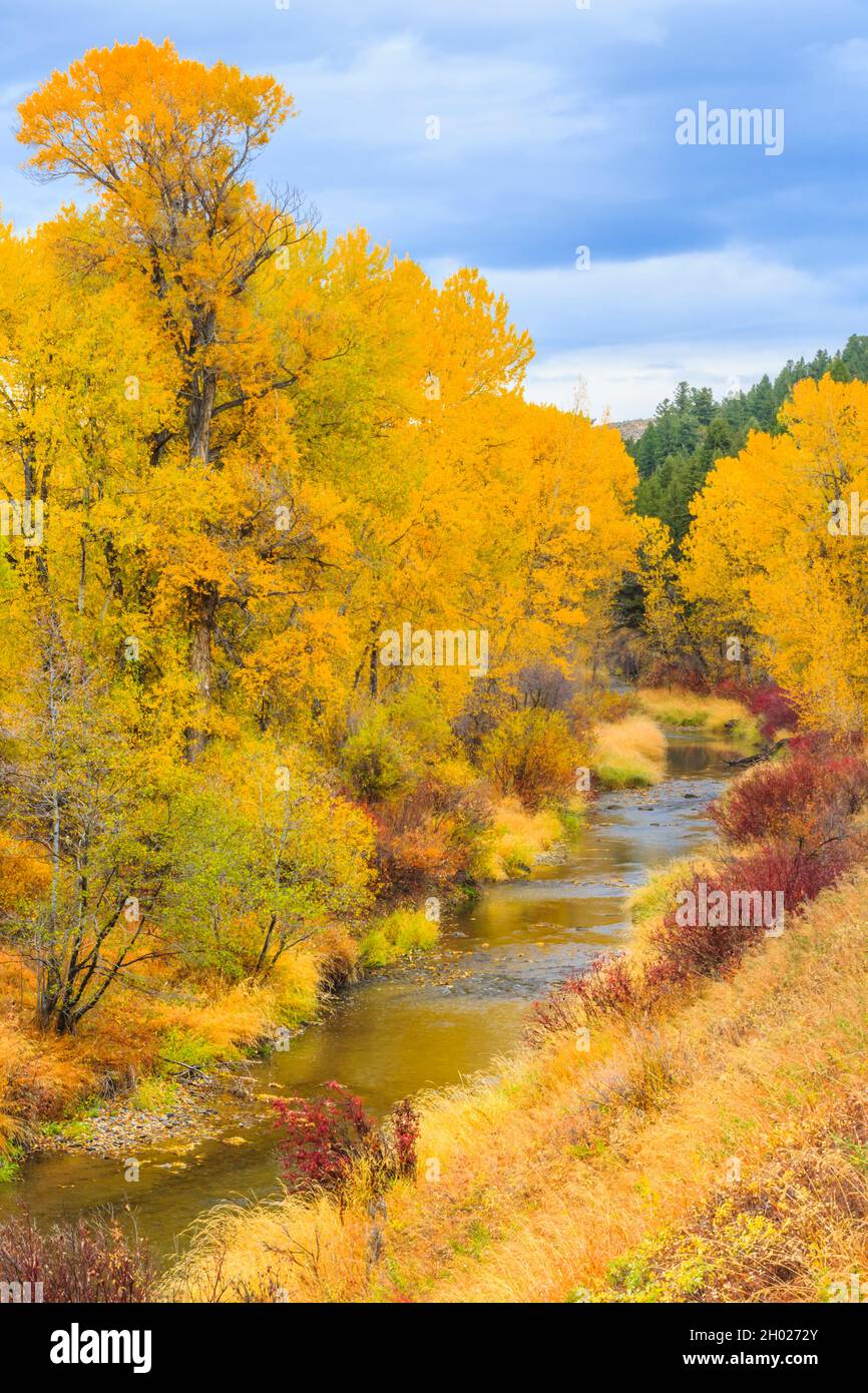 Shields river valley hires stock photography and images Alamy