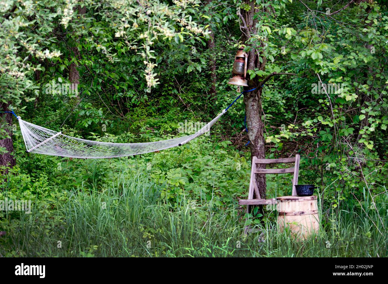 A wild woods holds a rustic camping scene, with hammock, lantern and old folding chair Stock Photo