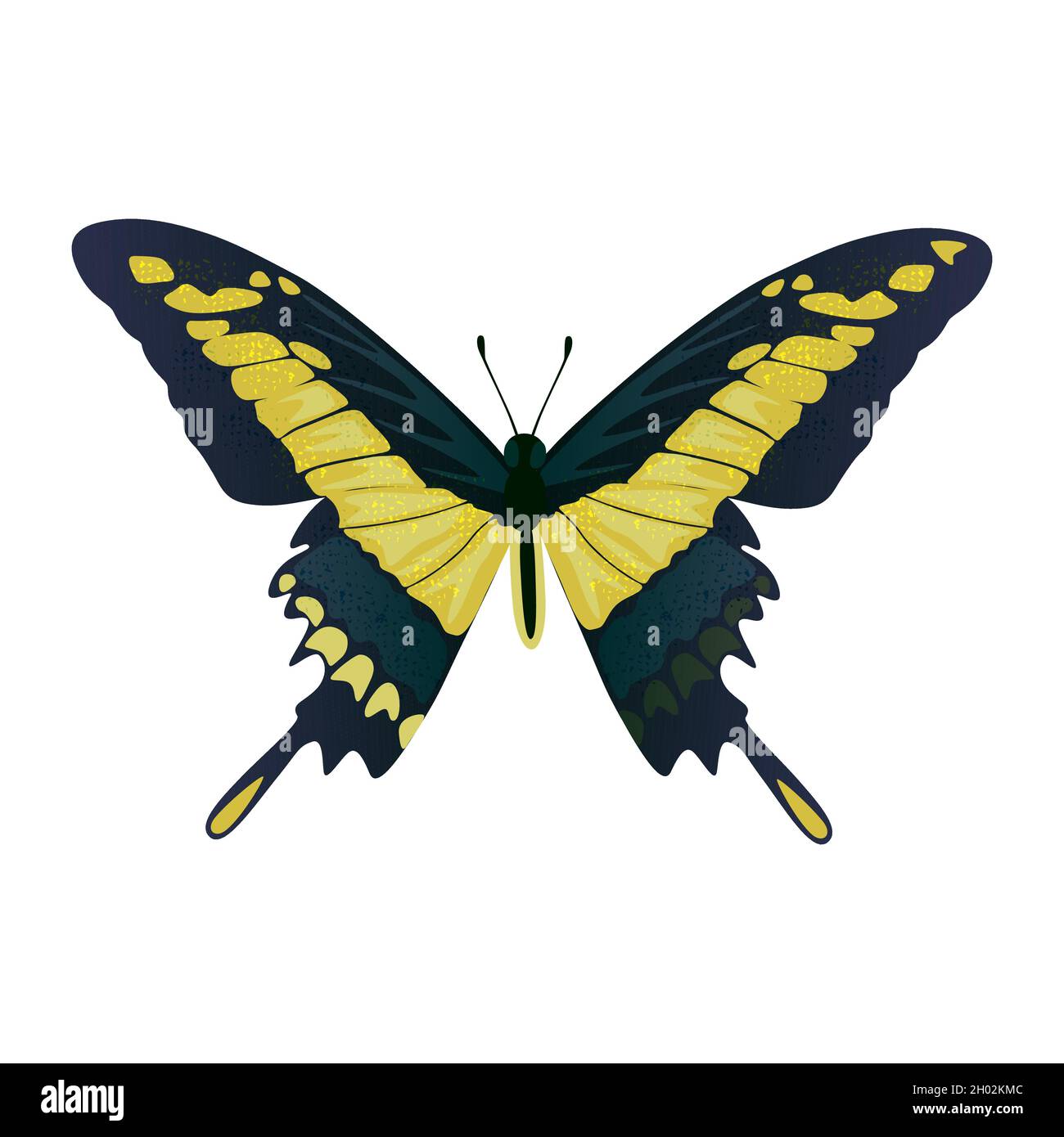 Colorful big tropical butterflie, swallowtail papilio isolated on white background. Stock Vector