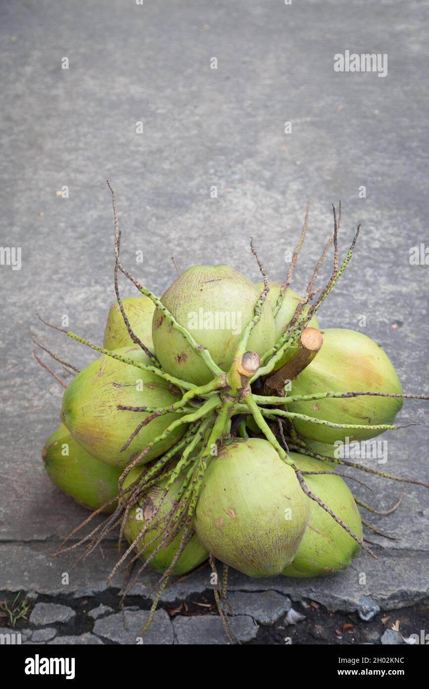 Coconut palm on the cement floor background Stock Photo