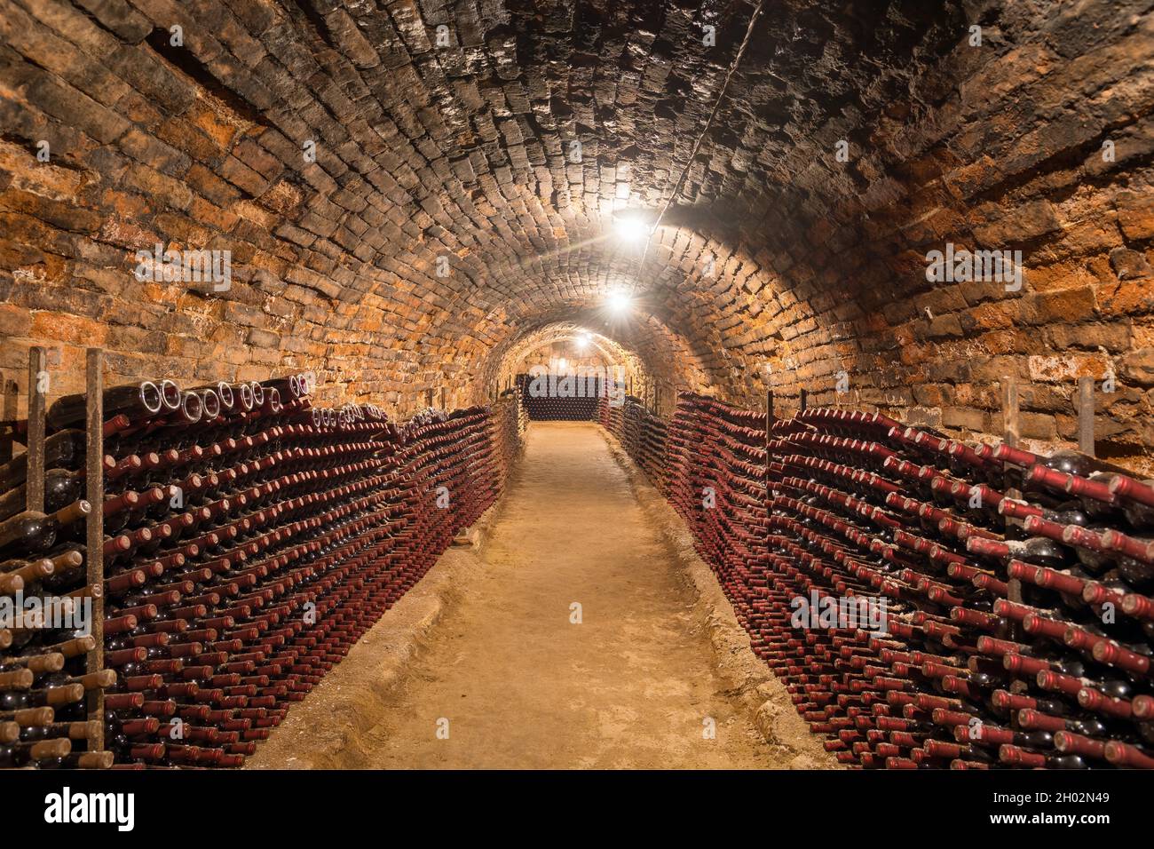 Old wine bottles in rows in the wine cellar Stock Photo
