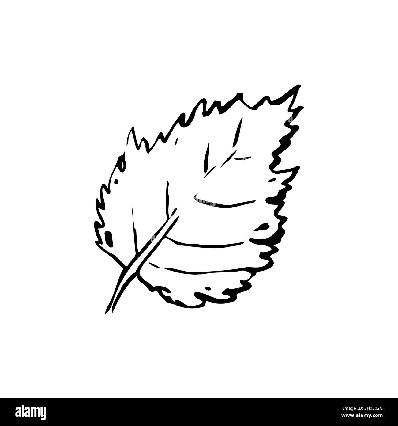 How to Draw & Shade a Leaf (Sketching Practice Tutorial) - YouTube
