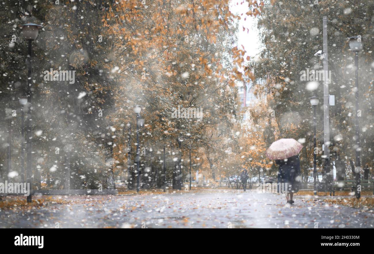 Autumn park in the days of the first snow Stock Photo - Alamy