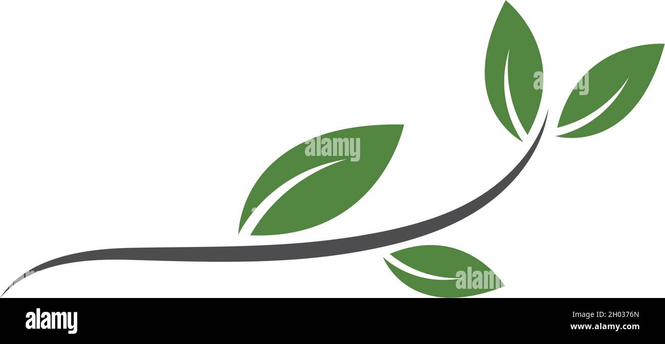 Logos of green leaf ecology nature element vector Stock Vector