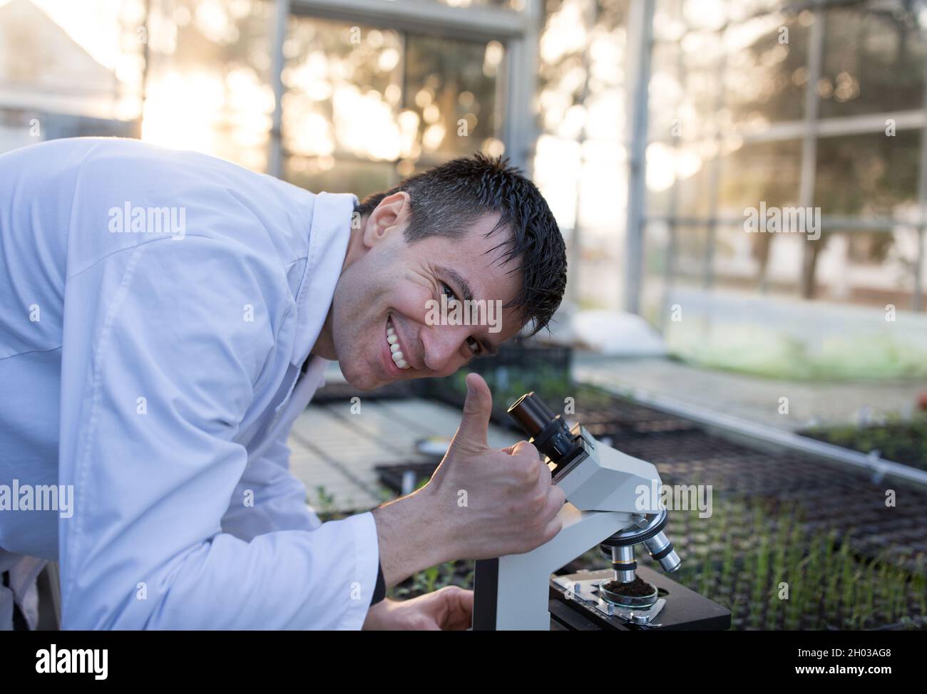 Satisfied biologist looking through microscope and showing thumb up in ...