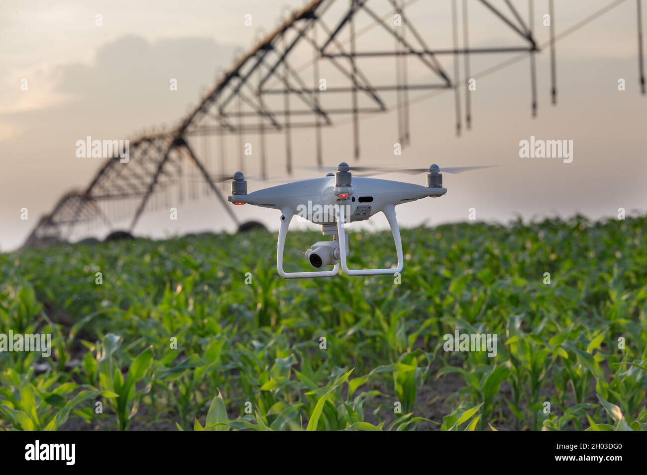 Flying drone, watering field hi-res stock photography and images - Alamy