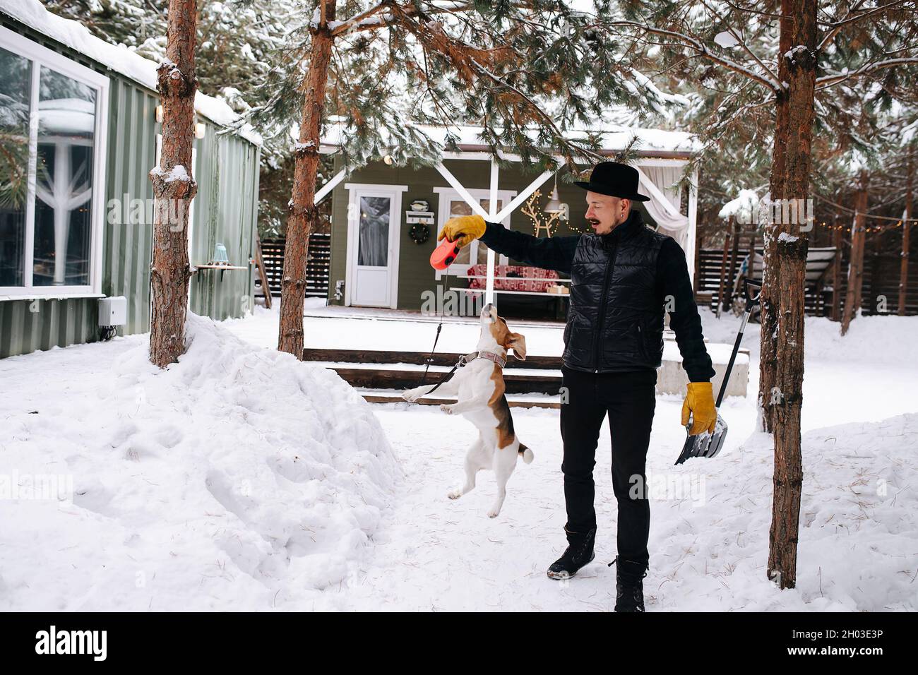 Dressed in black man playing with a happy beagle dog, teasing her, making jump. In front of the house on a snowy path between trees Stock Photo