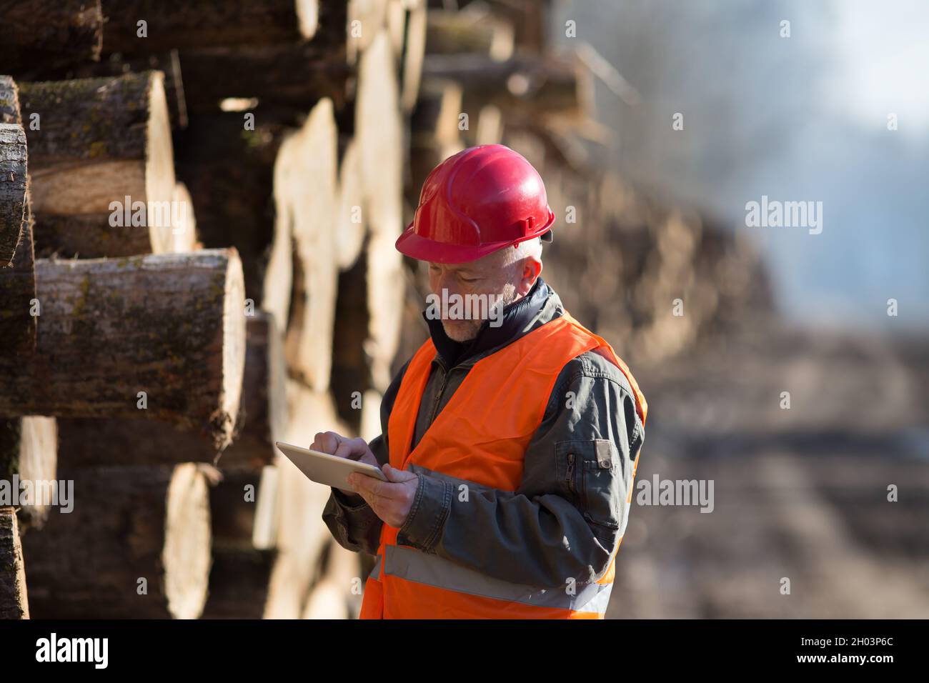 Mature lumber engineer helmet hi-res stock photography and images - Alamy