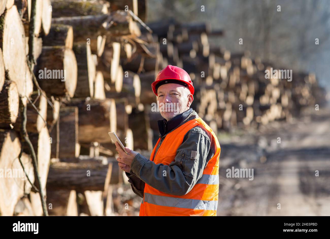 Mature lumber engineer helmet hi-res stock photography and images - Alamy