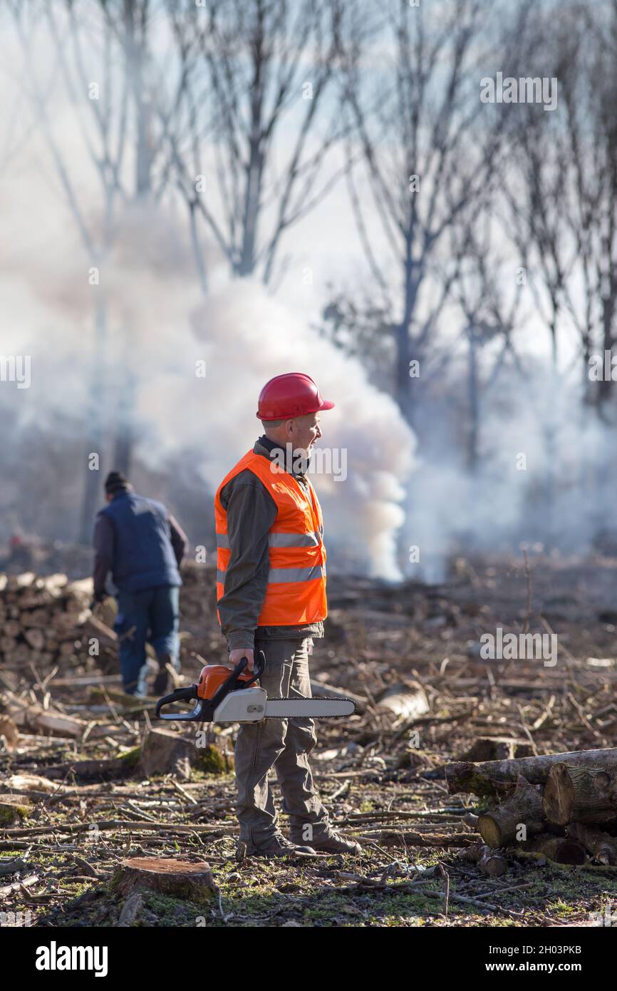 Man with chainsaw stock hi-res stock photography and images - Alamy
