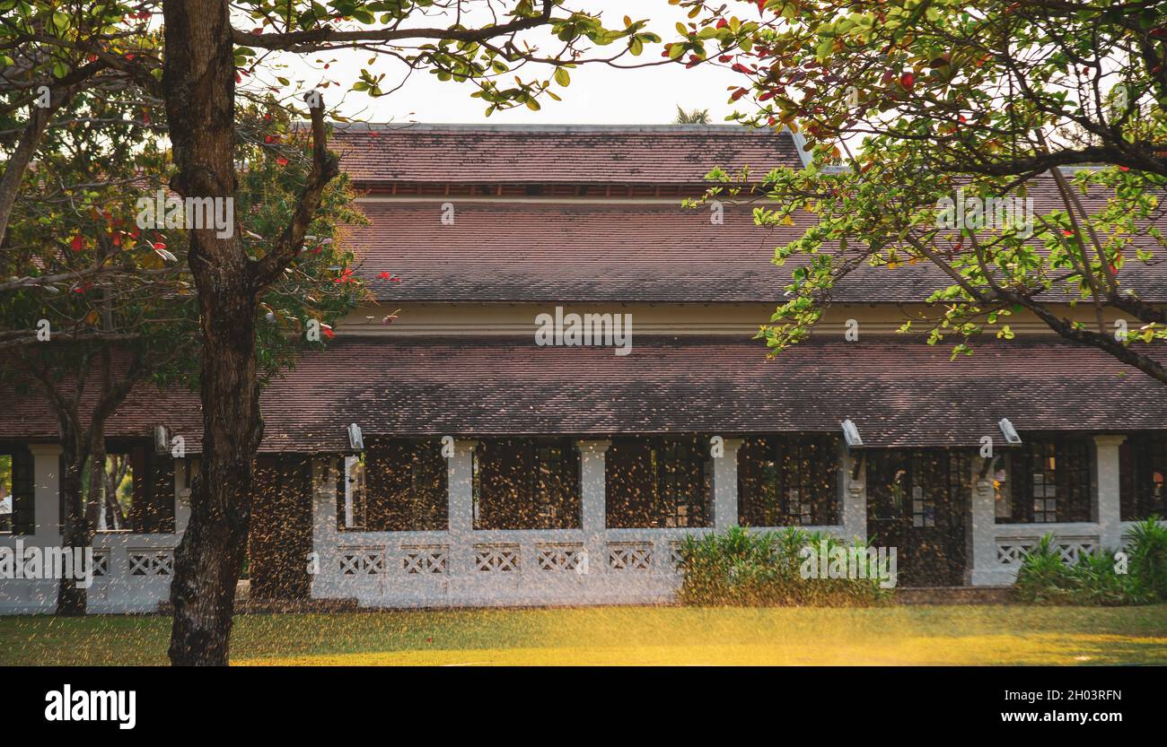 Architecture of ancient town in Luang Phrabang, Laos. The city was the