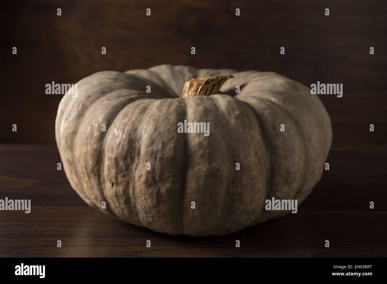 halloween, agriculture, pumpkin portrait on brown background Stock Photo
