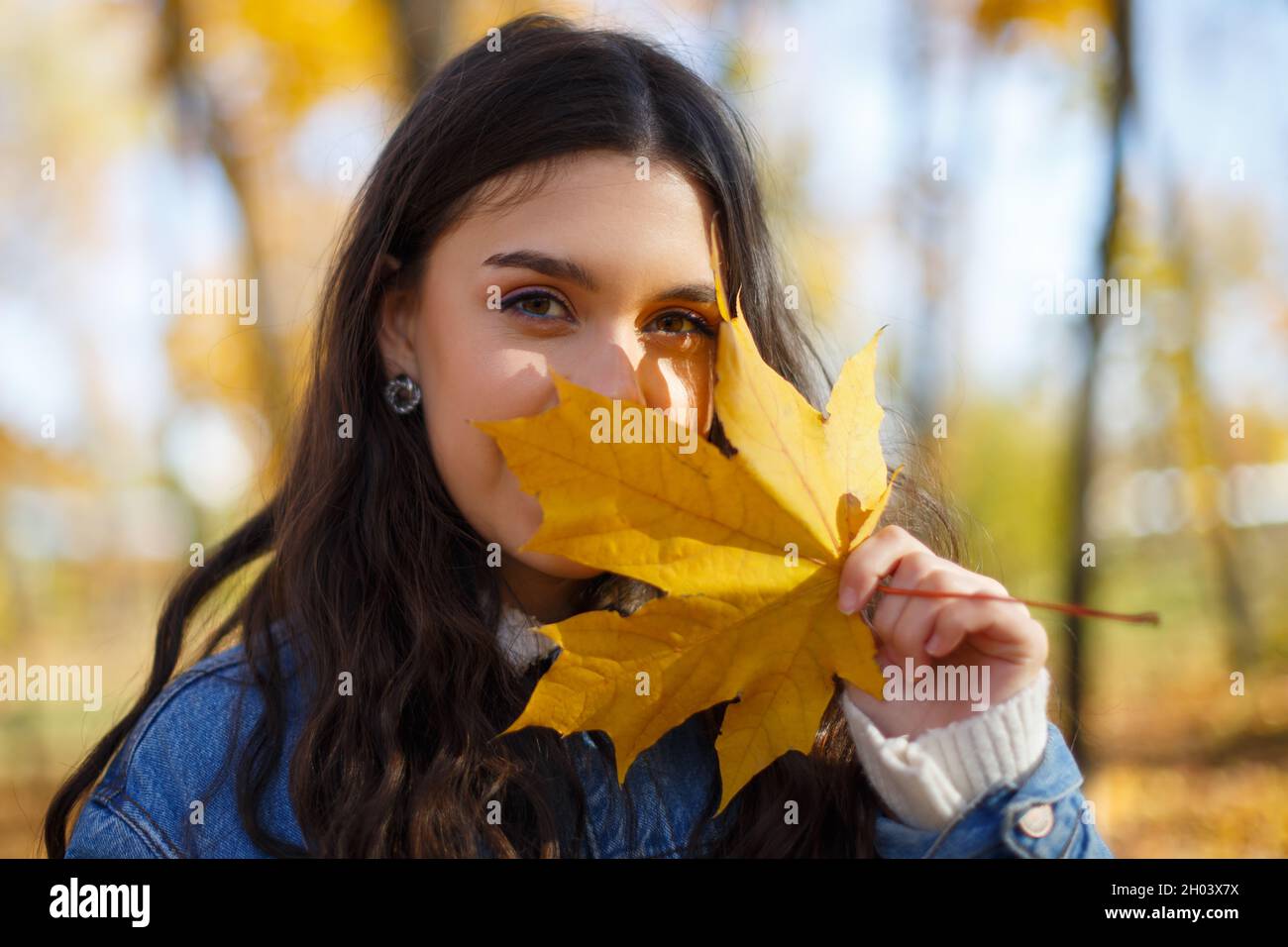 Autumn portrait of a young pretty woman holding a maple leaf in her ...