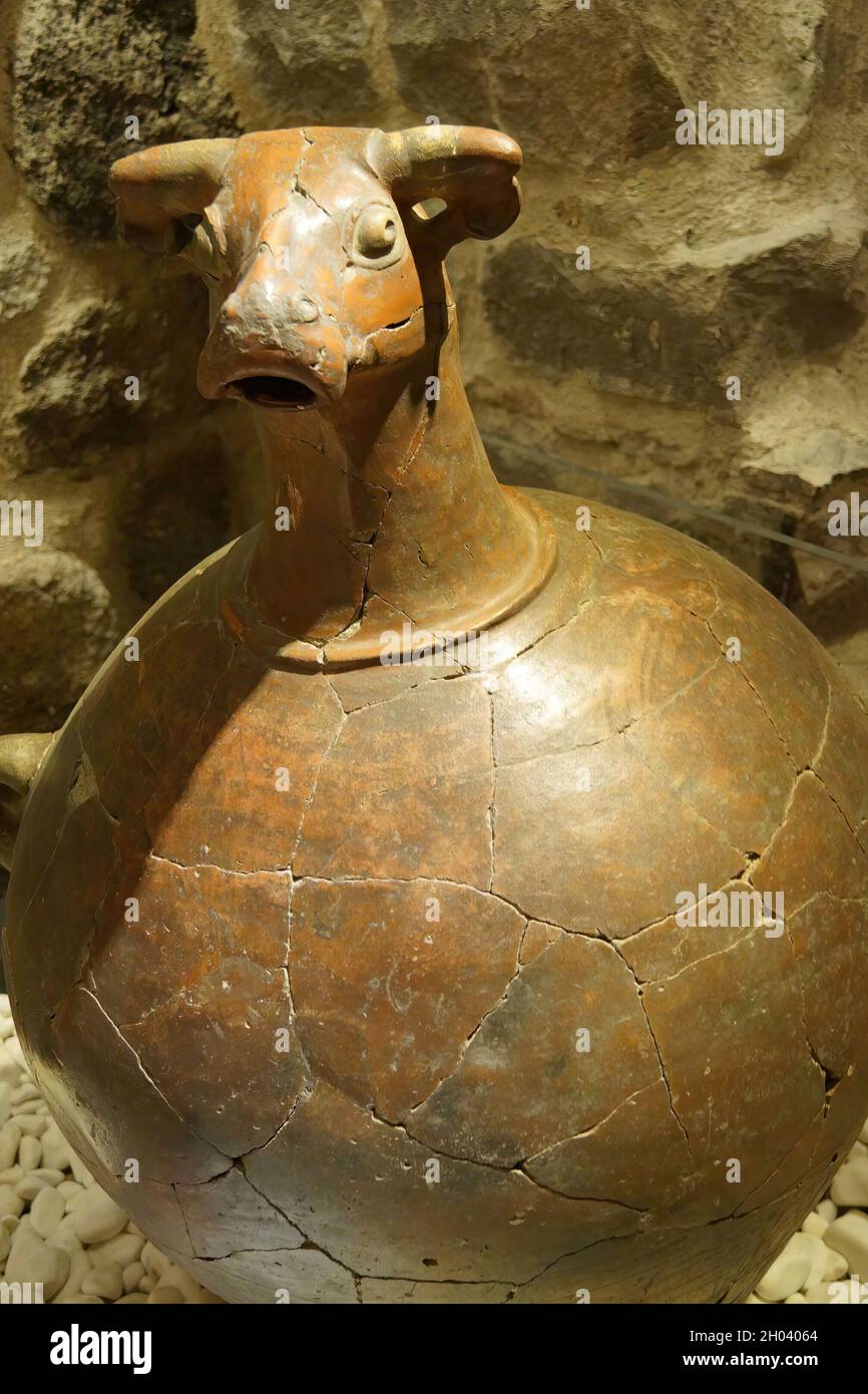 Historic bull head pithos pitcher in the Museum of Anatolian Civilization in Ankara, Turkey Stock Photo