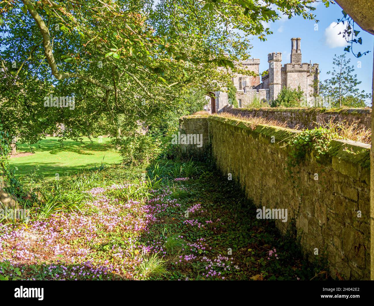 Historic Powderham Castle in south-east Devon. Stock Photo