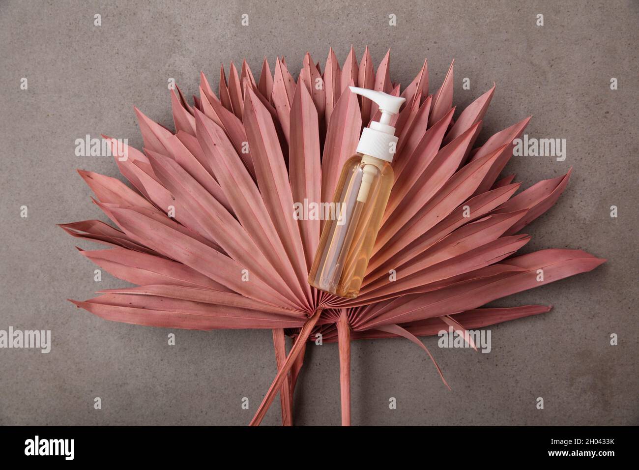 Natural beauty product background with a bottle and dried pink palm leaves Stock Photo