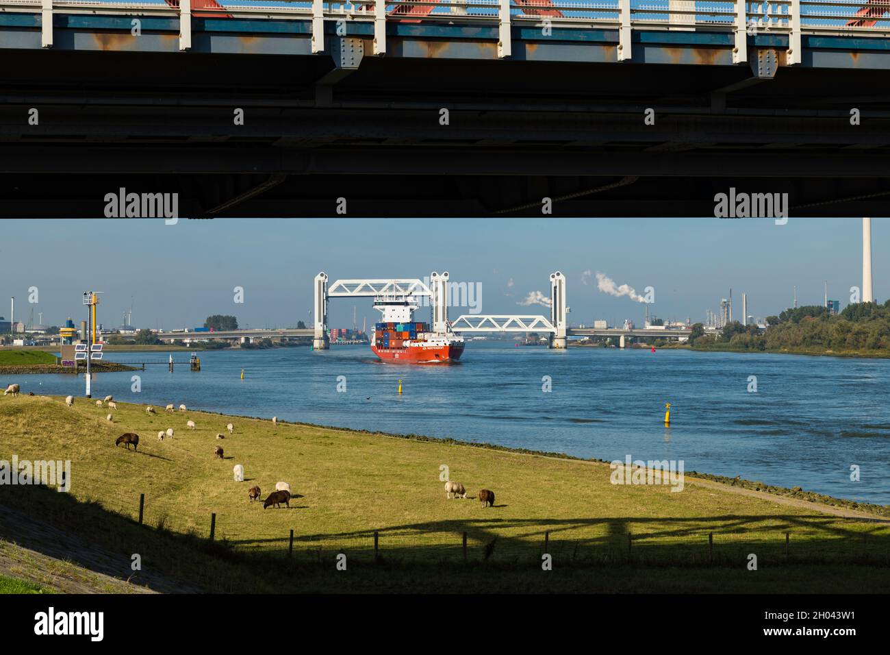 container ship crossing the the new botlek bridge near rotterdam Stock Photo
