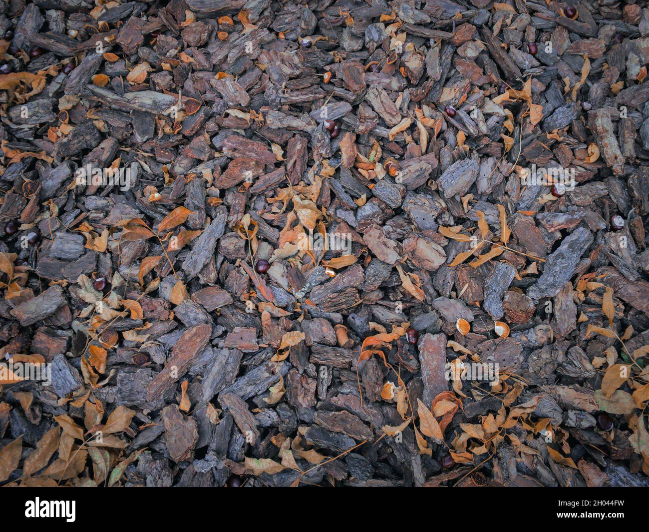 Autumn brown wood bark with yellow dry leaves, top view. Autumn wooden bedding for flower beds. Texture of Park landscape design. Stock Photo