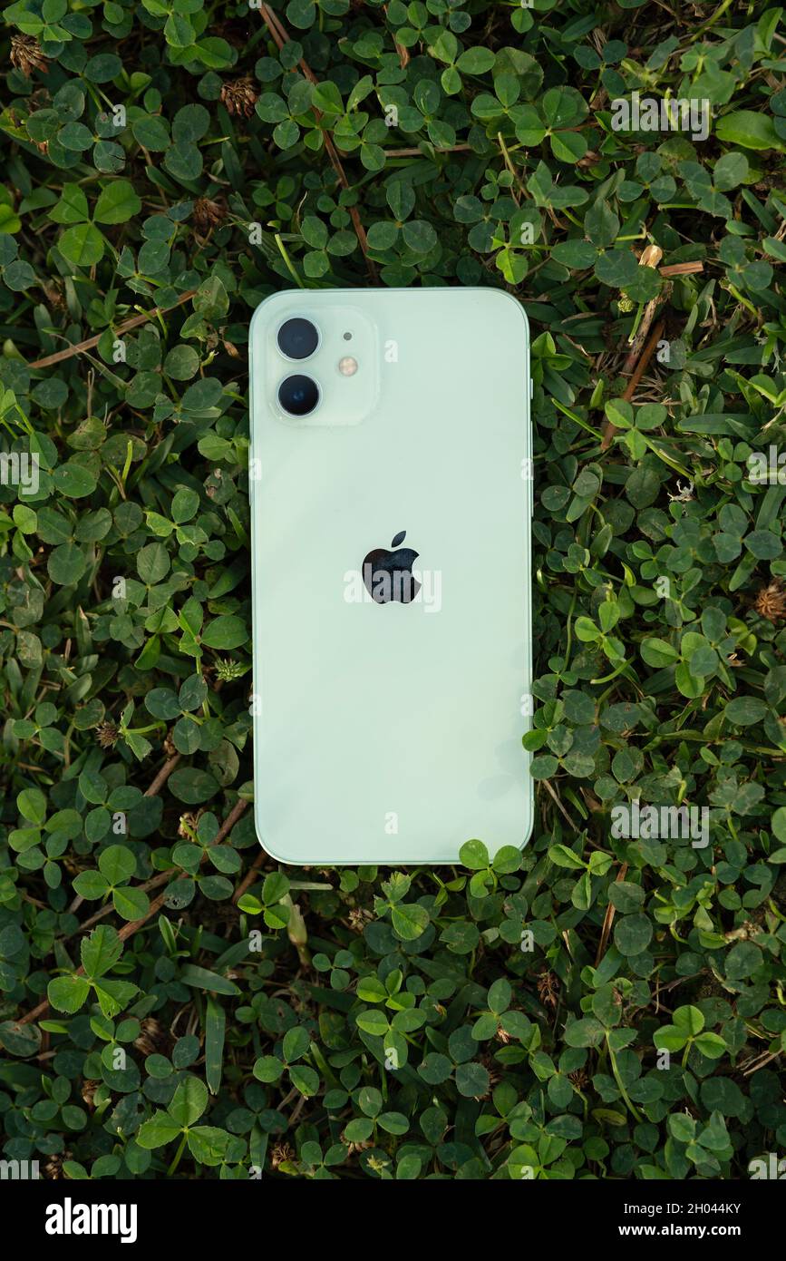 Green iPhone 12 on a field of shamrocks Stock Photo