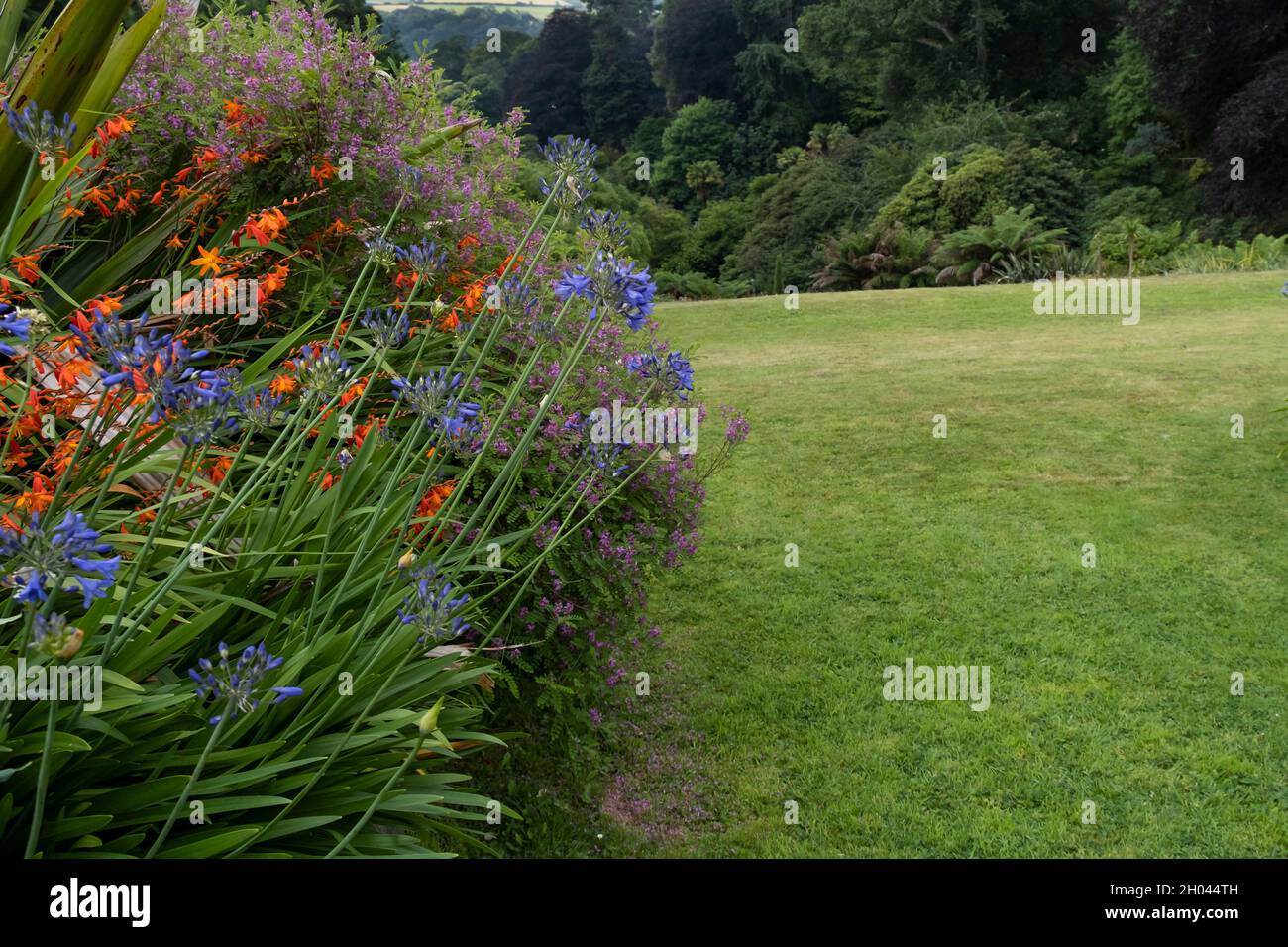 The sub tropical Trebah Gardens in Cornwall. Stock Photo