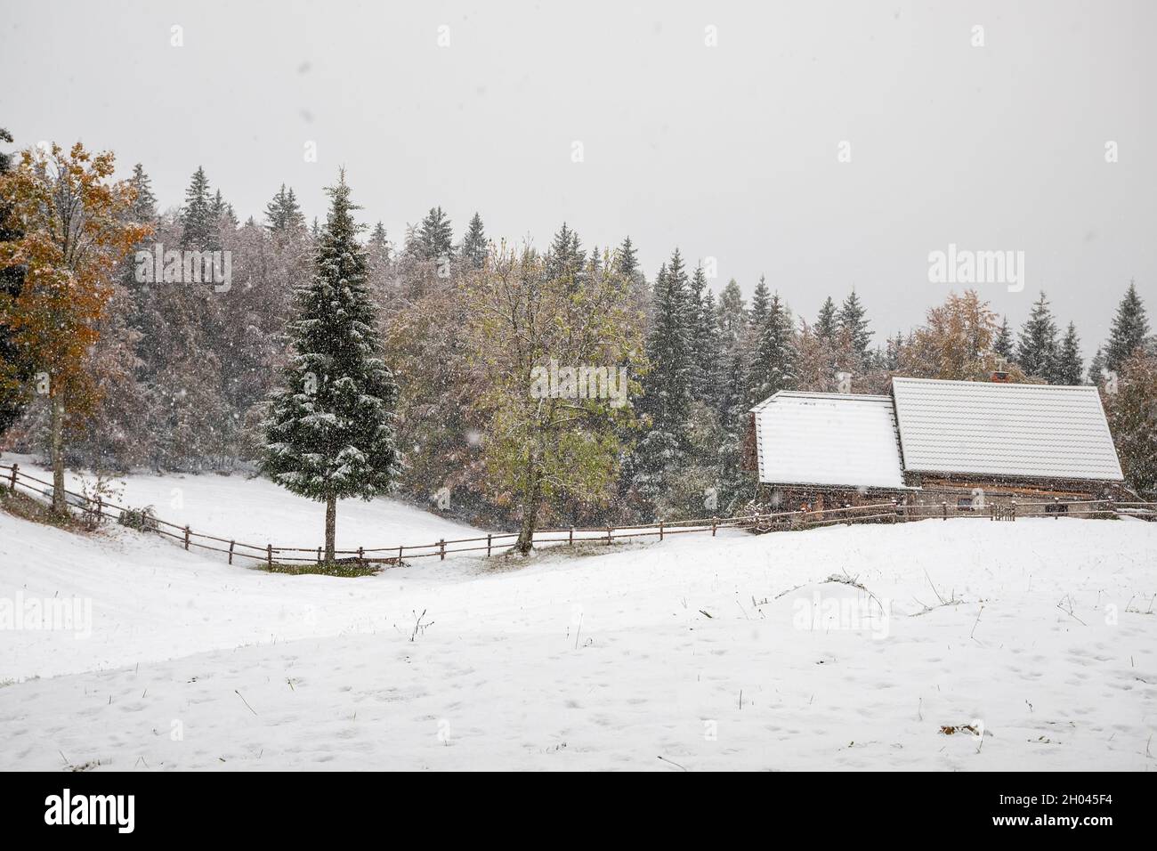 farmhouse in forest at snowfall, Slovenia Stock Photo