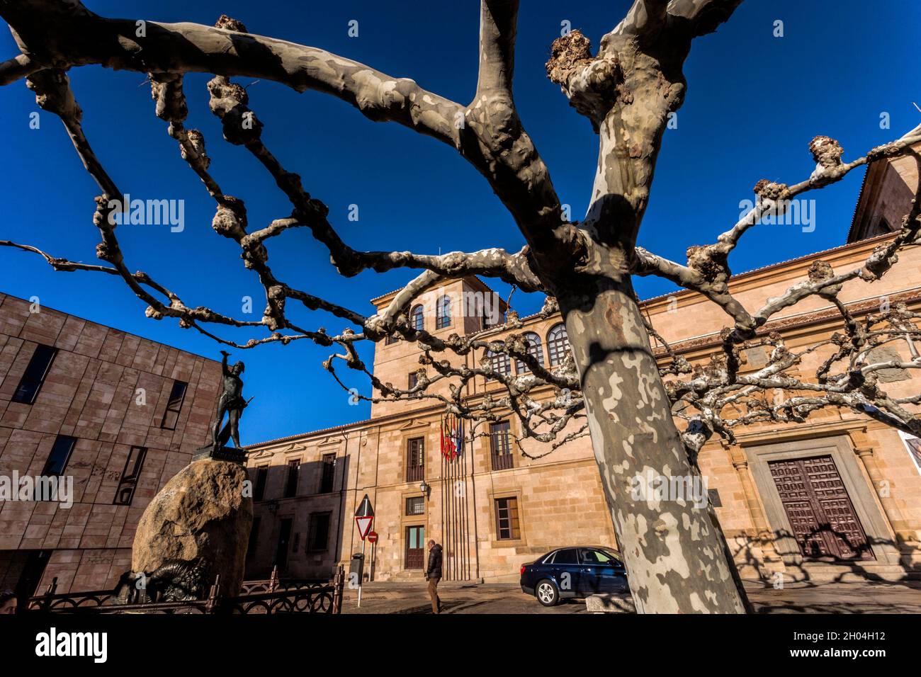 Statue of Viriato, Viriato square, Zamora city, Zamora Province, Castile and Leon, Spain, Europe. Stock Photo