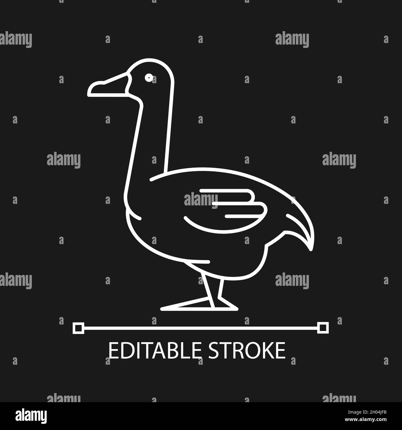 Male and female geese Stock Vector Images - Alamy