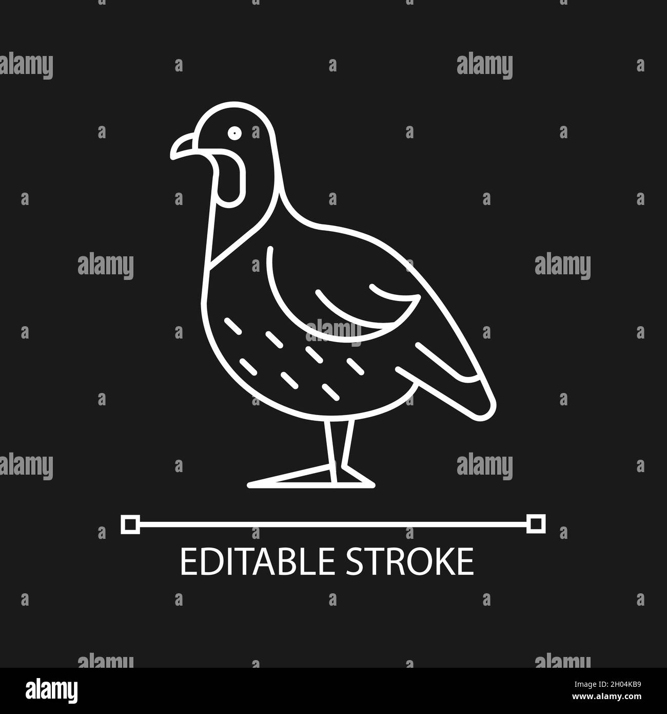 Partridge linear icon for dark theme Stock Vector Image & Art - Alamy