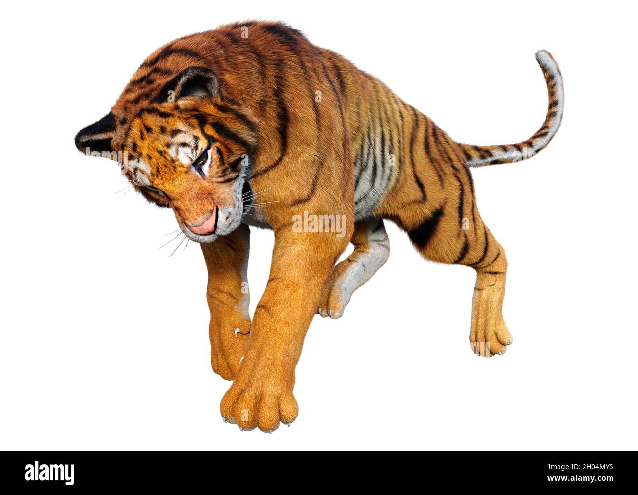 3D rendering of a big cat tiger isolated on white background Stock ...