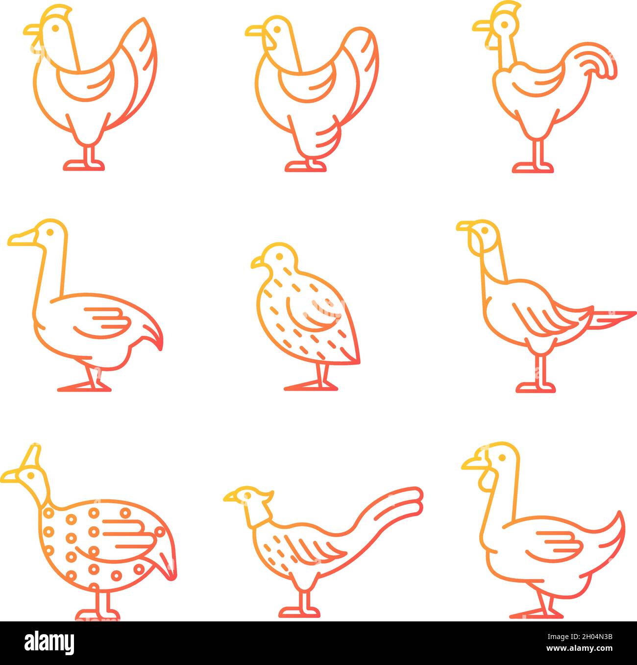Domesticated birds gradient linear vector icons set Stock Vector Image ...
