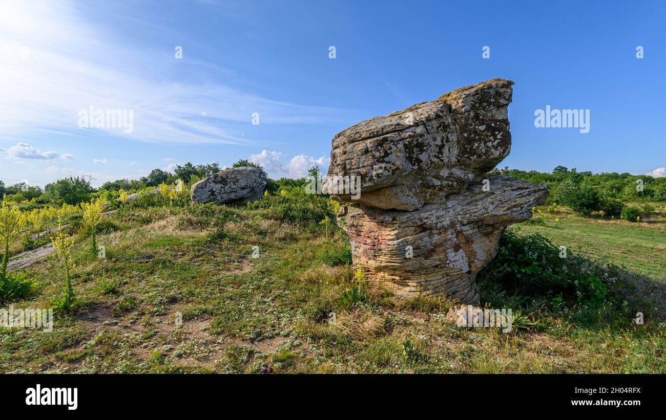 The Dobrovan Stone Mushrooms are bizarre rock formations located in the  Eastern Stara Planina, about 10 km from the village of Sini rid, Bulgaria  Stock Photo - Alamy