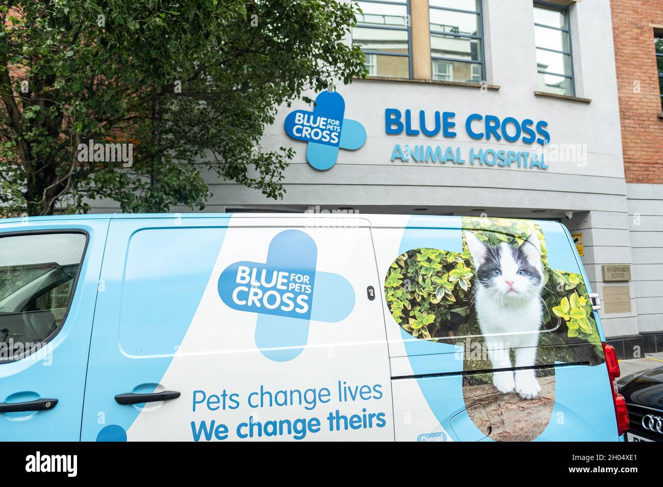 London- October 2021: Blue Cross Animal Hospital near Victoria Station, a British animal welfare charity Stock Photo
