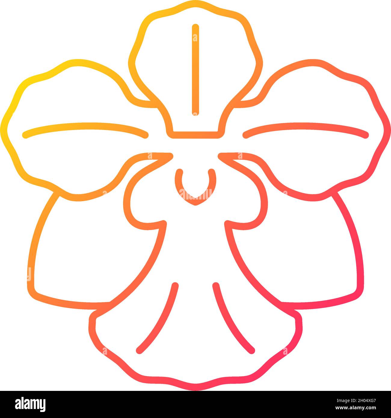 Vanda Miss Joaquim gradient linear vector icon Stock Vector Image & Art ...