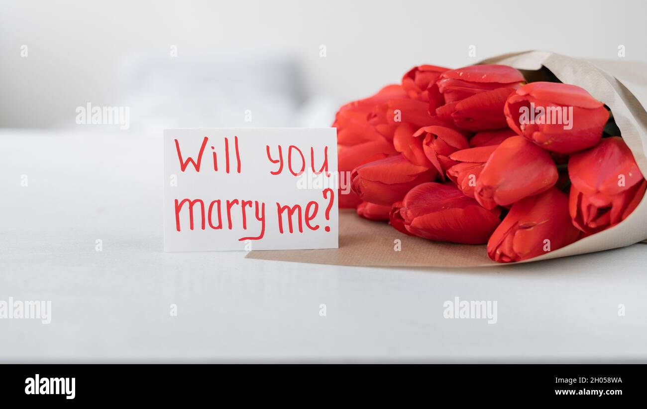 https://c8.alamy.com/comp/2H058WA/flowers-to-a-woman-bouquet-of-red-tulips-and-a-card-with-handwritten-inscription-will-you-marry-me-on-a-white-background-flowers-delivery-2H058WA.jpg