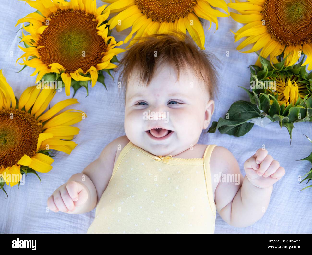 beautiful cute smiling white girl of five months lies in sunflowers Stock Photo