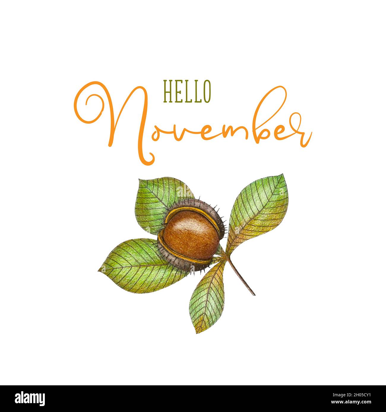 Hello November, Autumn Background, Autumn greetings Banner with