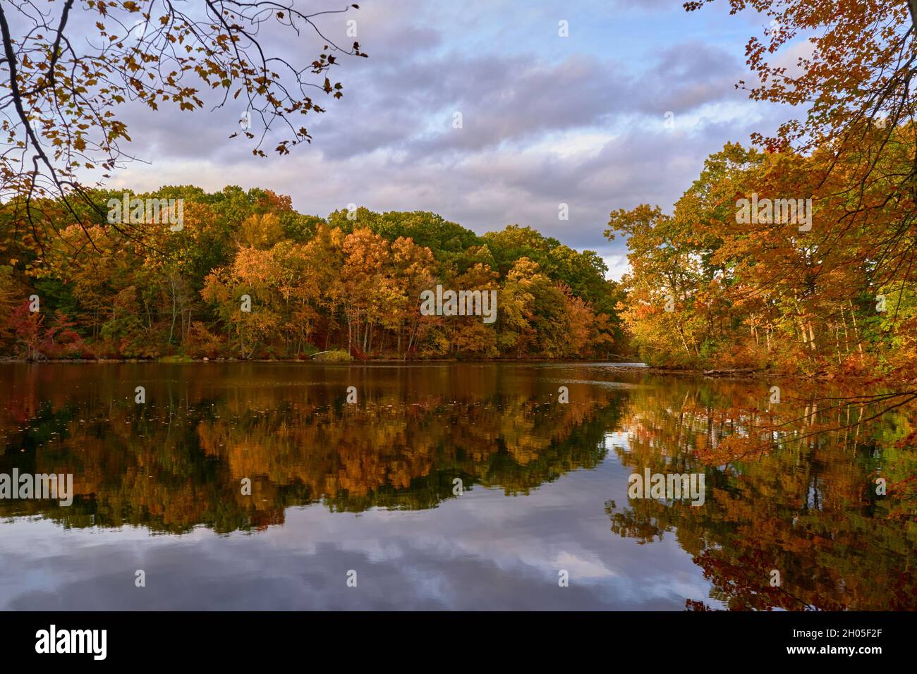 Scenic view of colorful autumn trees and their reflection on a lake ...