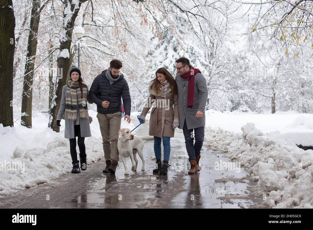 Two couples walking dog in park in winter time with lot of snow Stock Photo