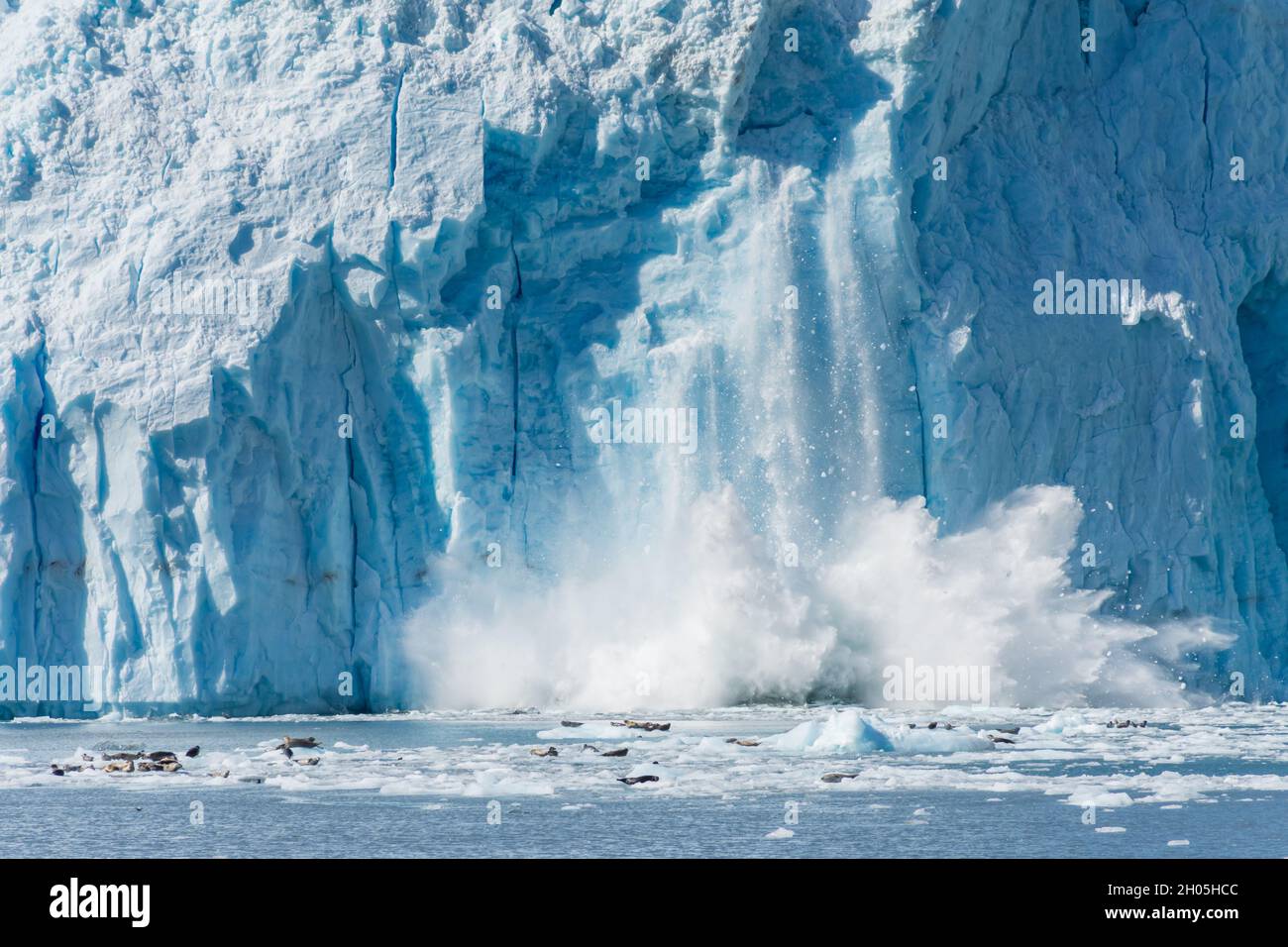 An Actively Calving Glacier in Gulf of Alaska Stock Photo