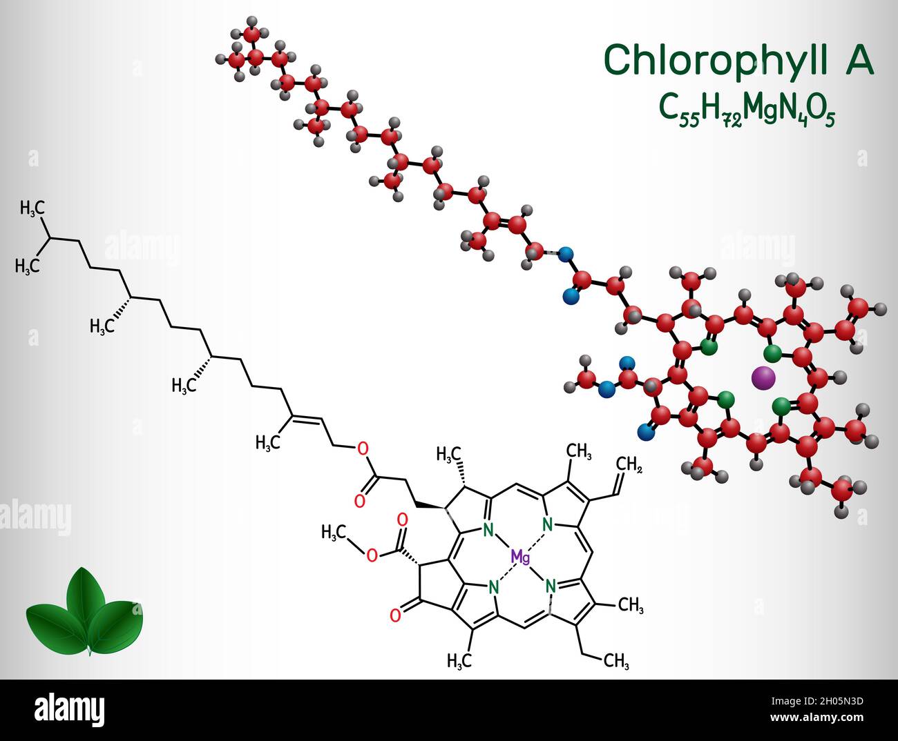 Chlorophyll A, chlorophyll molecule. It is photosynthetic pigment used in oxygenic photosynthesis. Structural chemical formula and molecule model. Vec Stock Vector