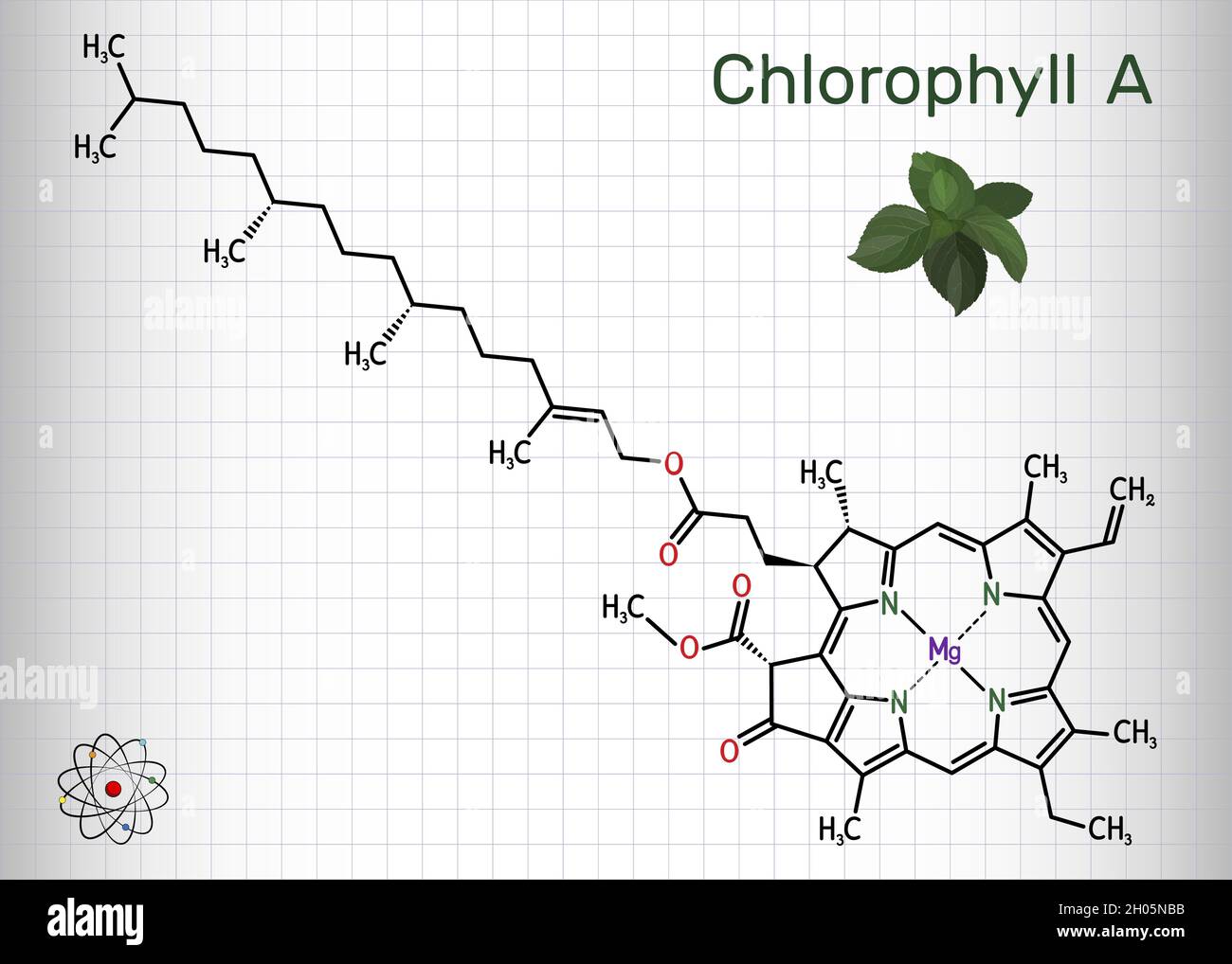 Chlorophyll A, chlorophyll molecule. It is photosynthetic pigment used in oxygenic photosynthesis. Skeletal chemical formula. Sheet of paper in a cage Stock Vector