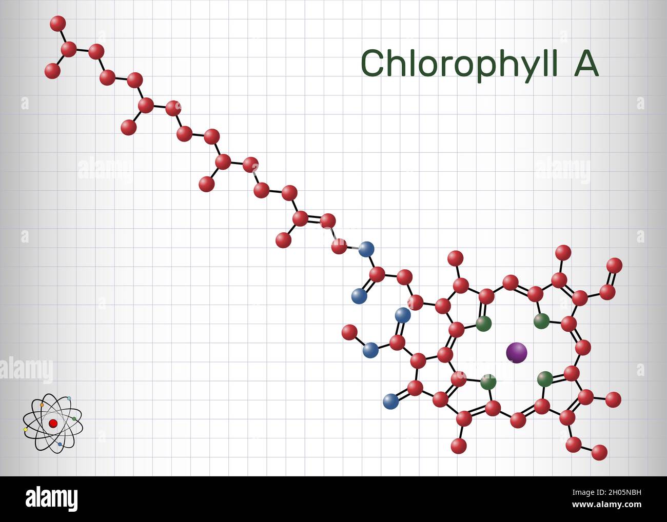Chlorophyll A, chlorophyll molecule. It is photosynthetic pigment used in oxygenic photosynthesis. Sheet of paper in a cage Stock Vector