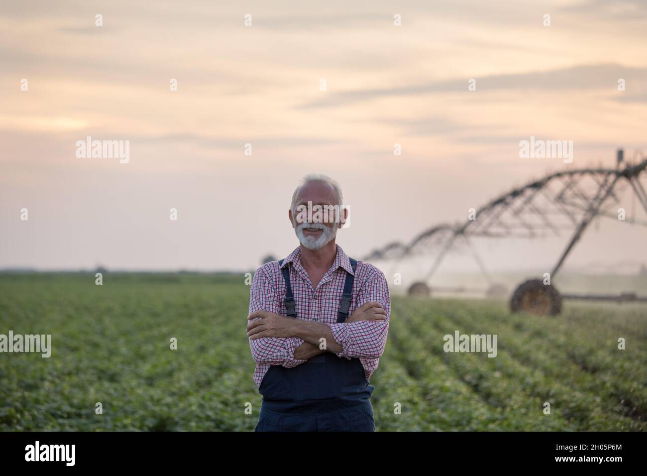 Portrait of senior farmer with crossed arms standing in front of ...