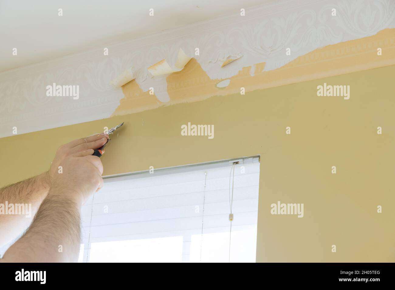 Old wallpaper hires stock photography and images Alamy