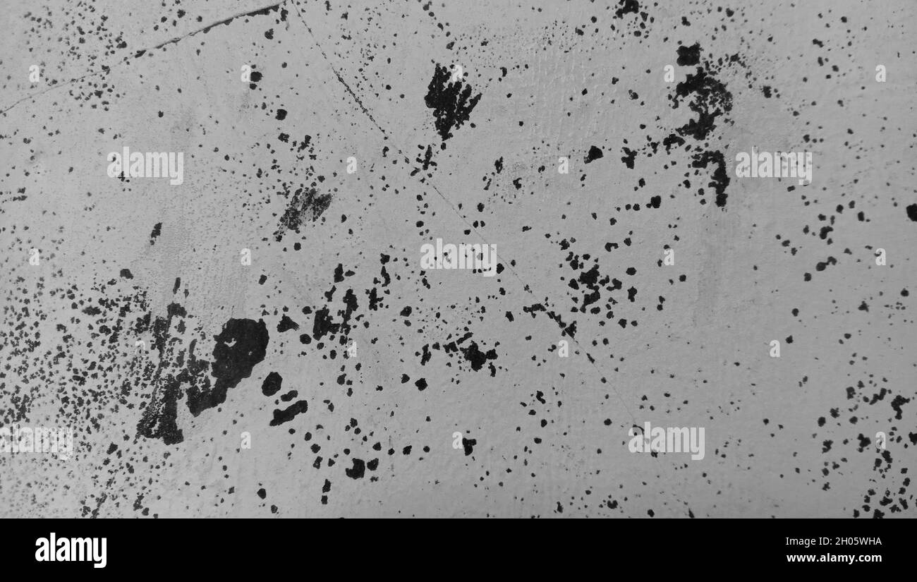 Off white color wall Black and White Stock Photos Images Alamy