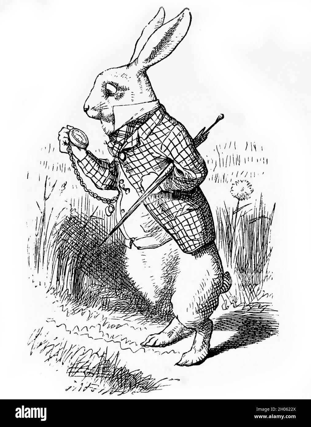 Vinatage Alice in Wonderland illustration by John Tenniel after Lewis Carols story through the looking glass Stock Photo