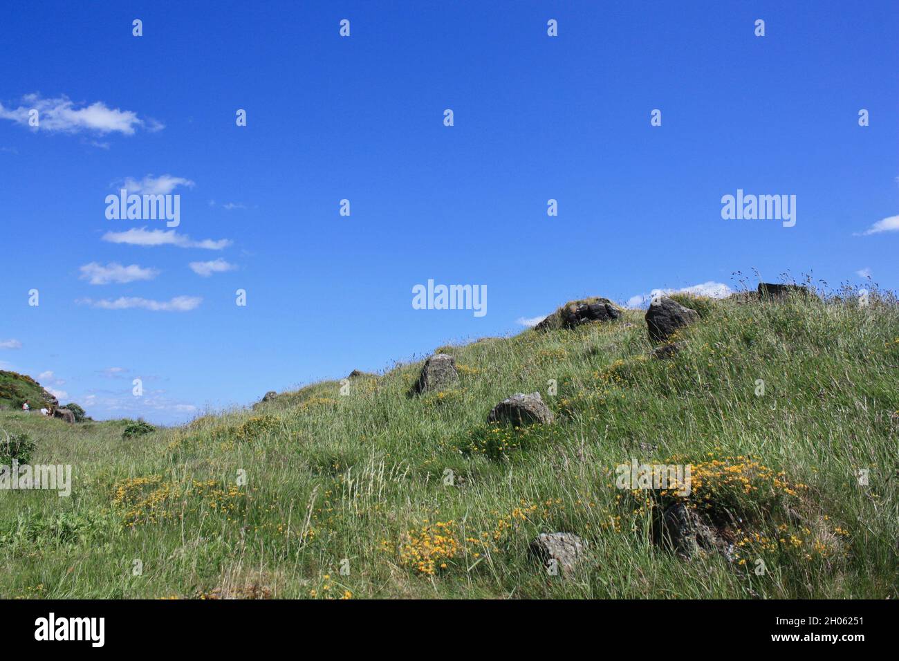Vibrant blue and green landscape in Scotland. Stock Photo