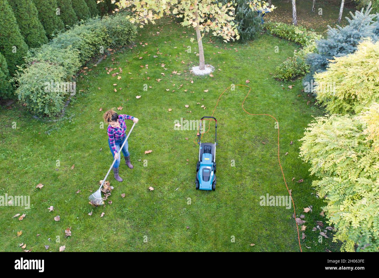 Aerial image of woman taking care of lawn in autumn, raking leaves and